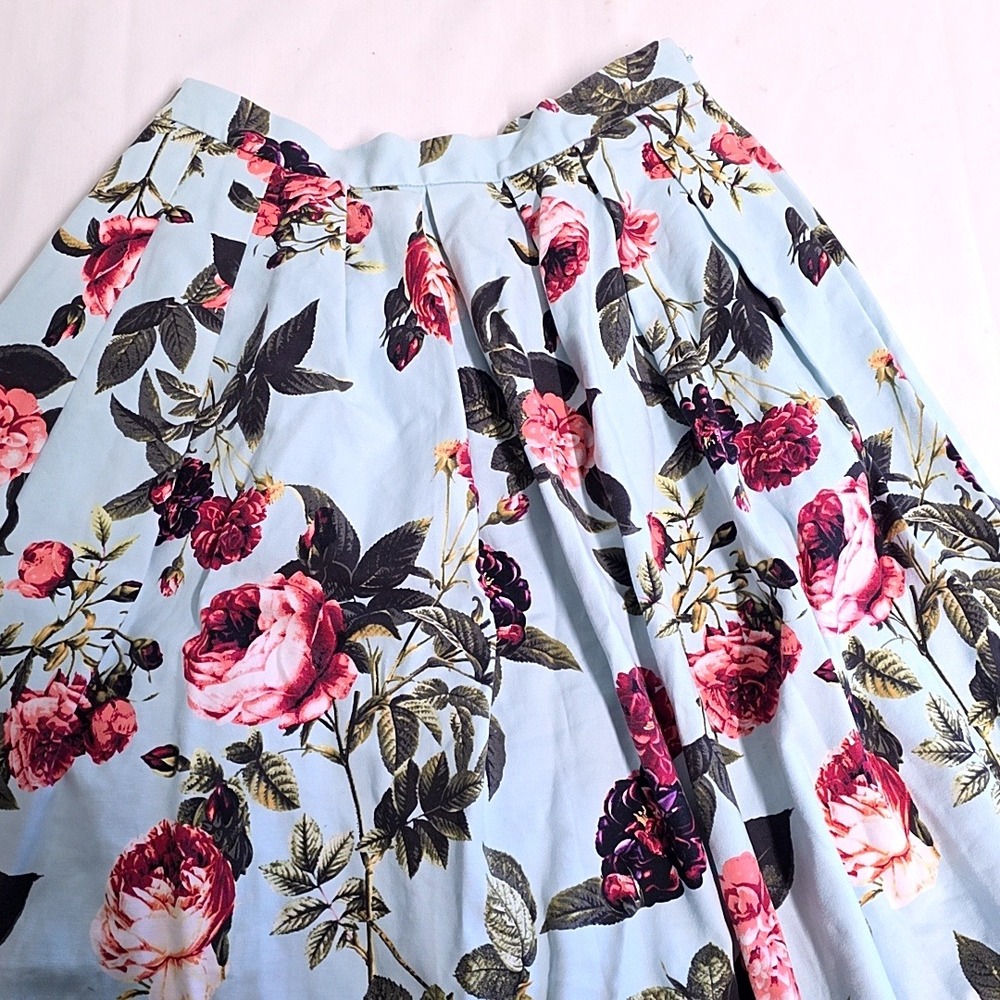 CeCe Pleated A-Line Skirt Womens 4 Light Blue Pink Rose Floral Knee Length